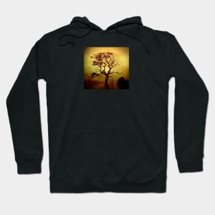 Evening Tree Hoodie